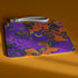 Rectangular wristlet clutch featuring vibrant purple and orange background with colorful snake prints. White strap and gold zipper visible.